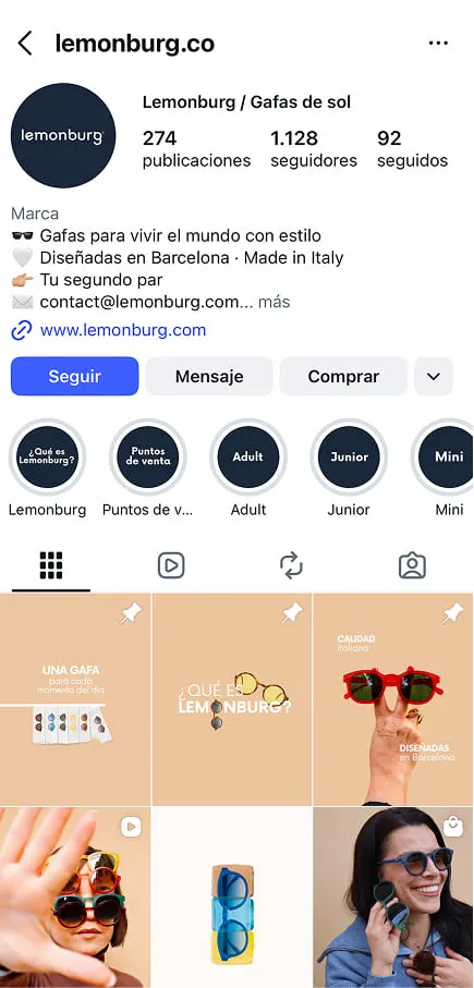 Ejemplo de perfil de Instagram para marcas y negocios