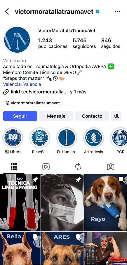 Ejemplo de perfil de Instagram para marcas y negocios